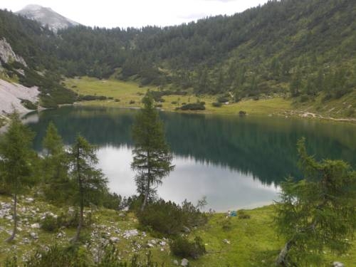 Imagen general del Ferienwohnung Sz&ouml;ky. Foto 7