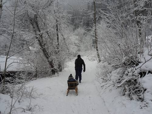 Imagen general del Ferienwohnung Walder. Foto 2