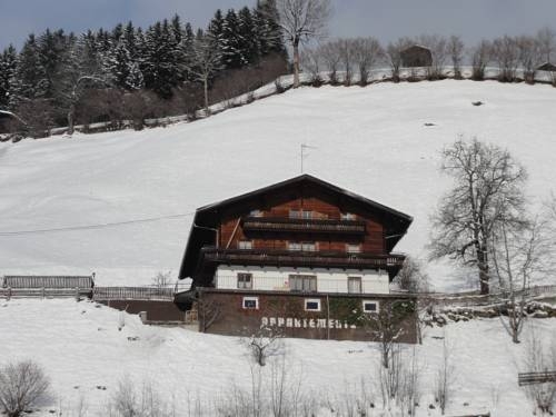 Imagen general del Ferienwohnungen Birkleiten. Foto 6