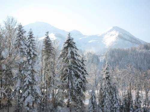Imagen general del Ferienwohnungen Johann Niedermoser. Foto 1