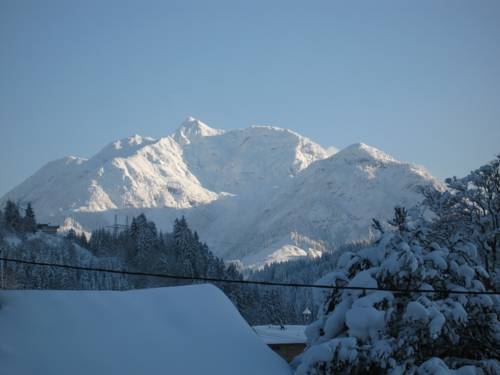 Imagen general del Ferienwohnungen Johann Niedermoser. Foto 12