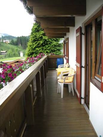 Imagen general del Ferienwohnungen Johann Niedermoser. Foto 14