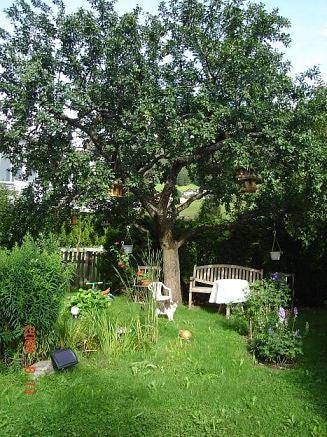 Imagen general del Ferienwohnungen Obex. Foto 10