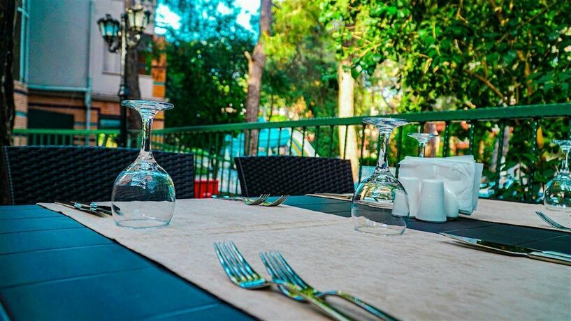 Imagen del bar/restaurante del Festival Nature Hotel- All Inclusive. Foto 16