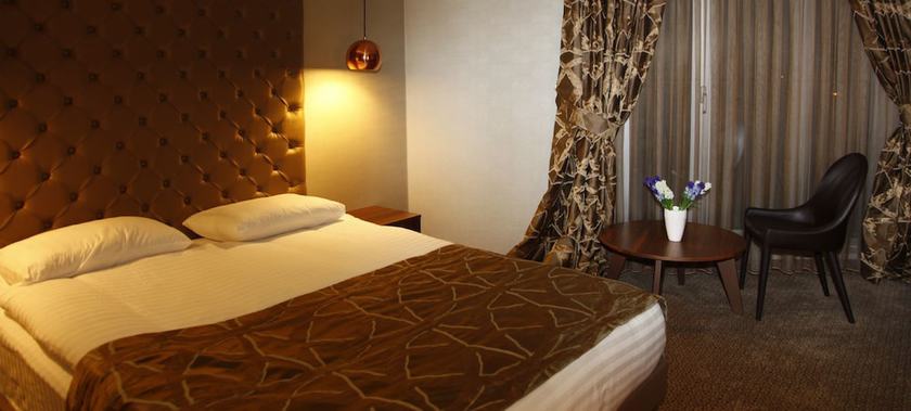 Imagen de la habitación del Feyzan Hotel. Foto 7