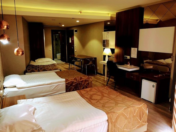 Imagen de la habitación del Feyzan Hotel. Foto 15