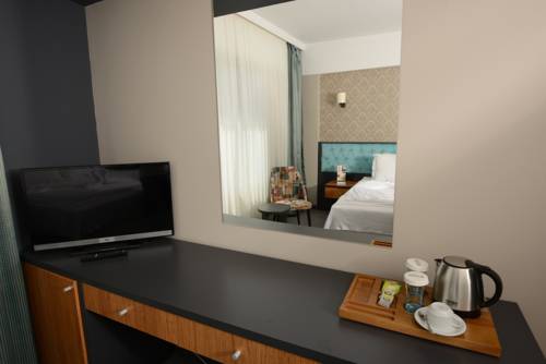 Imagen de la habitación del Fier Butik Hotel & Spa Kayseri. Foto 3