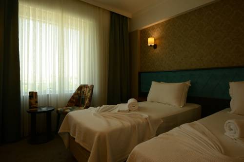 Imagen de la habitación del Fier Butik Hotel & Spa Kayseri. Foto 6