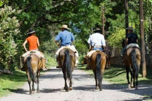 Imagen general del Finca Santa Anita. Foto 2