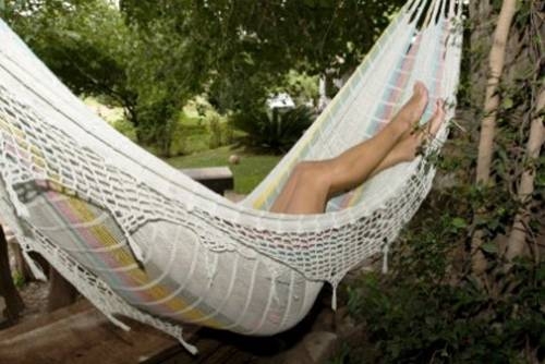 Imagen general del Finca Santa Anita. Foto 19