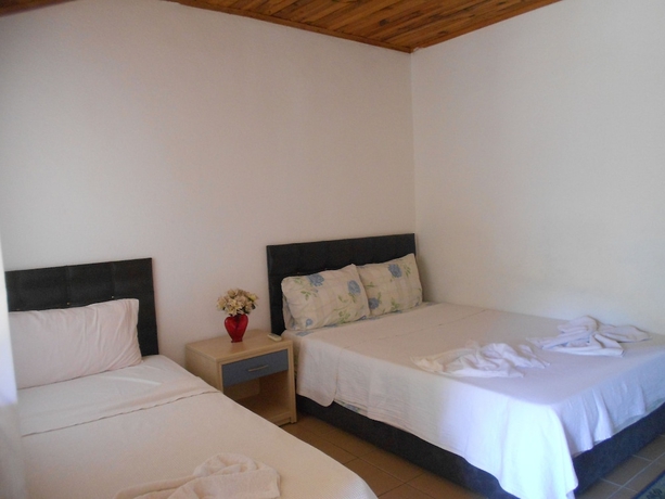 Imagen de la habitación del Fire Pansiyon. Foto 6