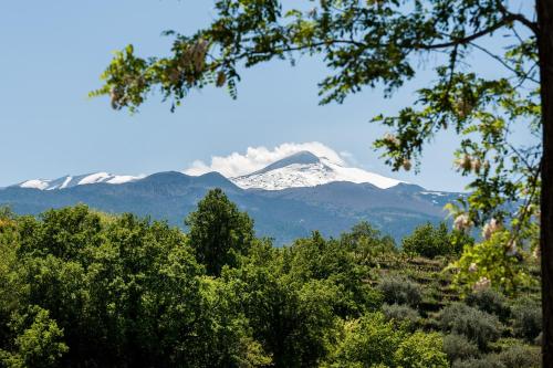 Imagen general del Firriato Hospitality Cavanera Etnea Resort & Wine. Foto 2