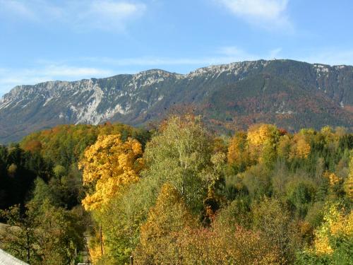 Imagen general del Flackl - Wirt. Foto 5