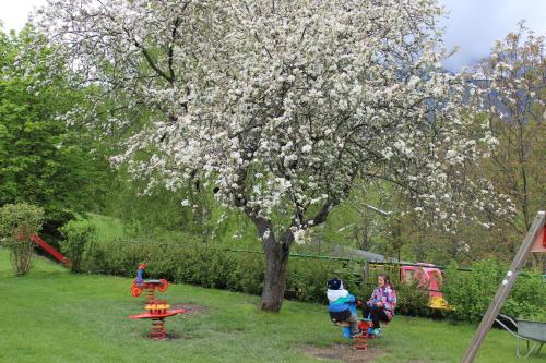 Imagen general del Flackl - Wirt. Foto 7