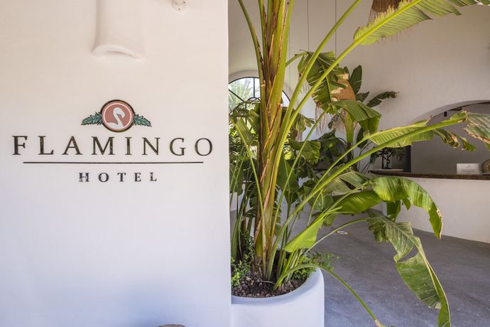 Imagen general del Flamingo Hotel & Spa - Pet Friendly. Foto 1