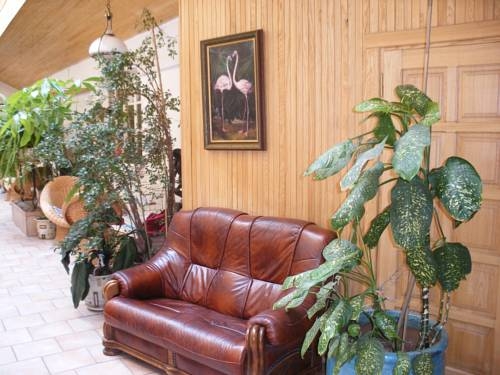 Imagen de los interiores del Flamingo, Vilnius. Foto 5