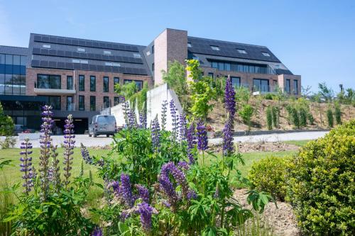 Imagen general del Flanders Cobblestone Paradise. Foto 6