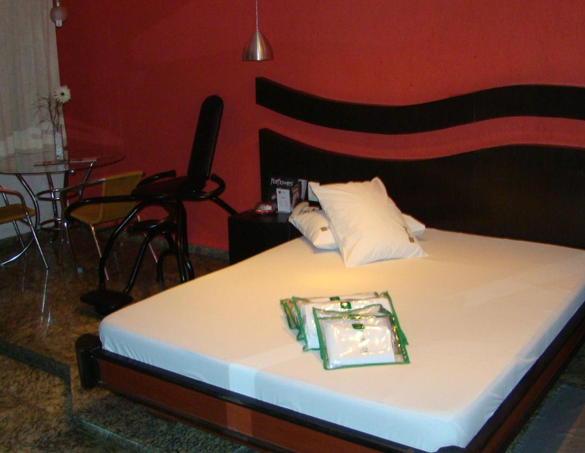 Imagen general del Floresta Tucuruvi (adult Only). Foto 20