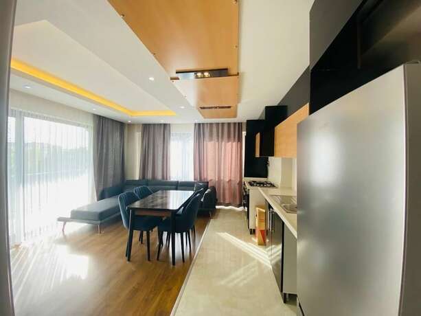 Imagen general del Flower City Suits, Koru. Foto 6