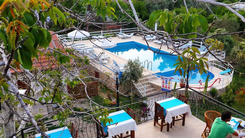 Imagen de la piscina del Flower Pension Hotel. Foto 17