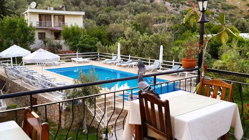 Imagen de la piscina del Flower Pension Hotel. Foto 20