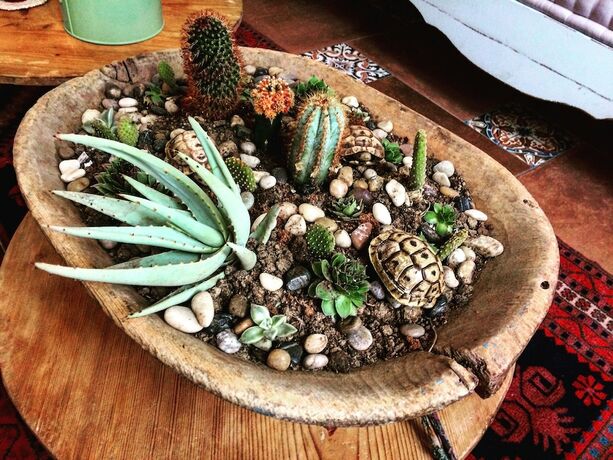 Imagen general del Foca 1887 Otel. Foto 10