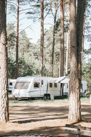 Imagen general del Forest House August&oacute;w. Foto 38