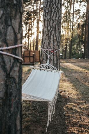 Imagen general del Forest House August&oacute;w. Foto 39