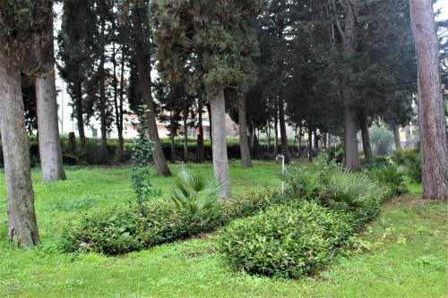 Imagen general del Foresteria Giulianova. Foto 6