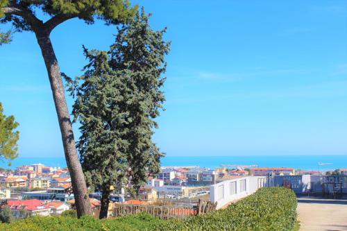 Imagen general del Foresteria Giulianova. Foto 8