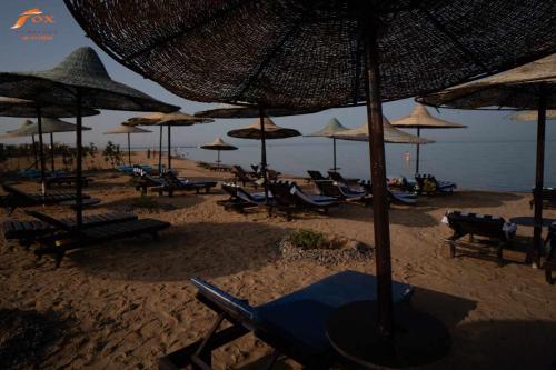Imagen general del Fox Resort El Gouna Stay. Foto 1