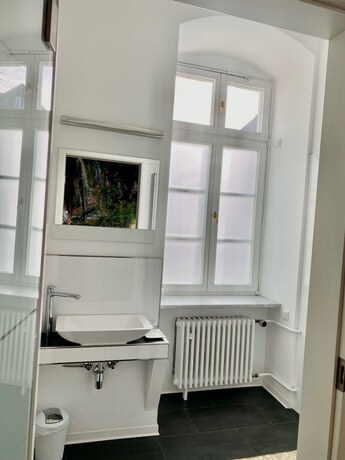 Imagen general del Frankfurter Hof 1834. Foto 2