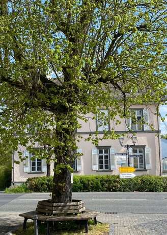 Imagen general del Frankfurter Hof 1834. Foto 5