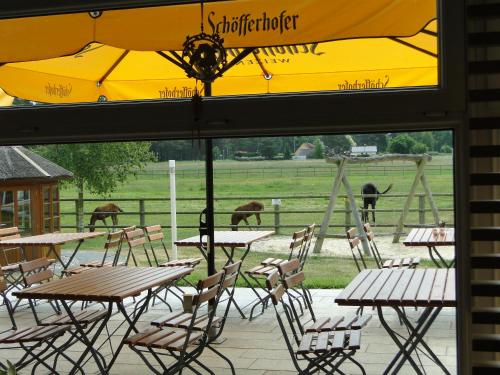 Imagen general del Friesenhof Hotel-Restaurant-Reitanlage. Foto 3