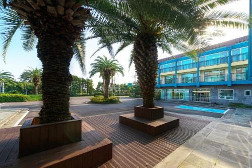 Imagen general del FromH T Resort Jeju Seongsan. Foto 1
