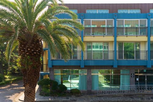 Imagen general del FromH T Resort Jeju Seongsan. Foto 6