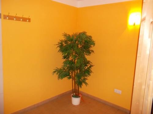 Imagen general del Frühstückspension Ronacher. Foto 15