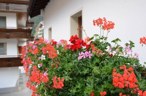 Imagen general del Fr&uuml;hst&uuml;ckspension T&uuml;rtscher. Foto 3