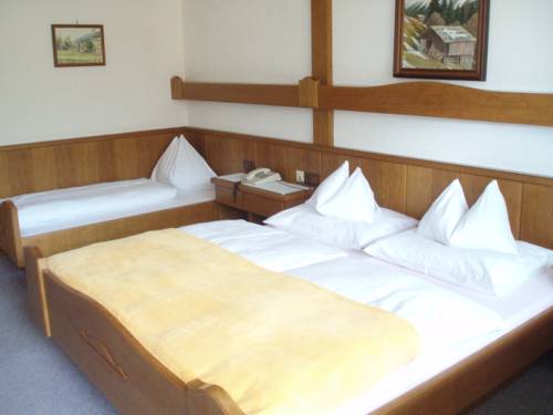 Imagen de la habitación del Frühstückspension-appartementhaus Wasserer. Foto 13