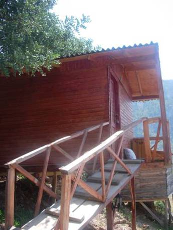 Imagen de la habitación del Full Moon Camp. Foto 4