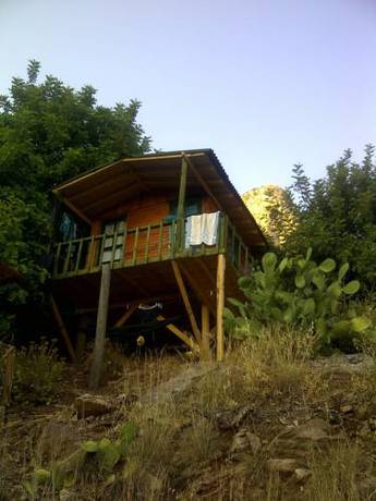 Imagen de la habitación del Full Moon Camp. Foto 6