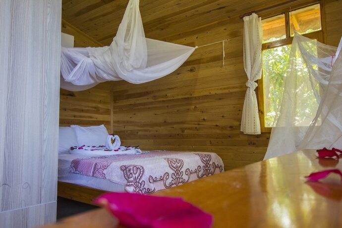 Imagen general del Fullmoon Camping. Foto 8