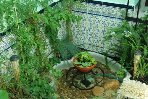 Imagen general del Funky Cordoba. Foto 4