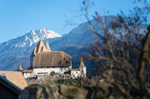 Imagen general del Furnished Apartments and Studios - Swiss Resort Aigle. Foto 3