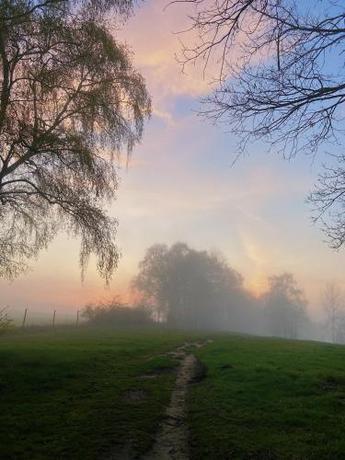 Imagen de los exteriores del Futuro Camp Project. Foto 18