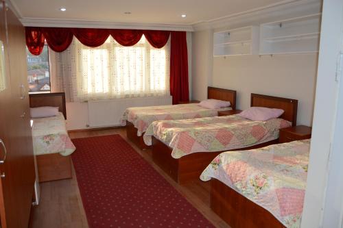 Imagen general del GOLD OTEL KASTAMONU. Foto 2