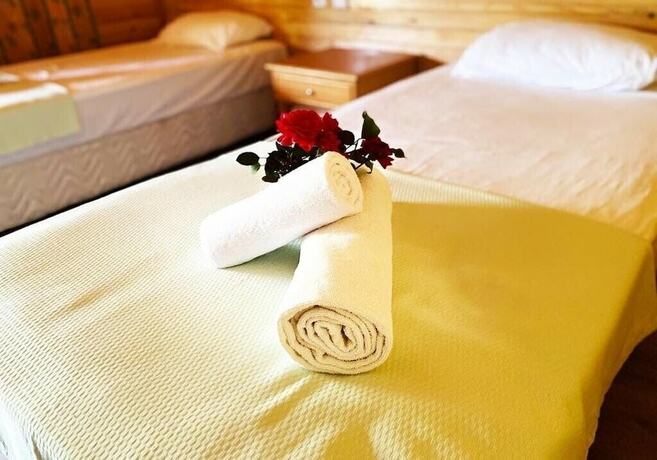 Imagen de la habitación del Gaia Hotel Olimpos. Foto 20