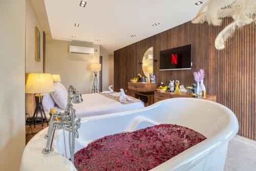 Imagen de la habitación del Gaia Pyramids Hotel. Foto 12