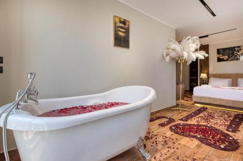 Imagen general del Gaia Pyramids Hotel. Foto 5