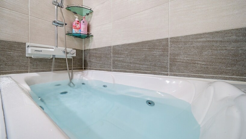 Imagen general del Gapyeong Belleuangjyu Aegyeonpensyeon. Foto 10